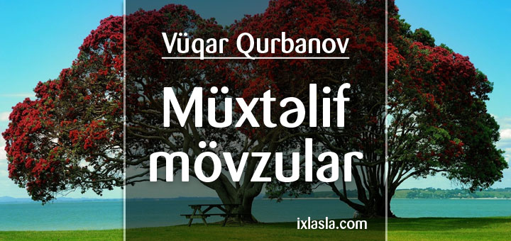 vuqar-qurbanov-muxtelif
